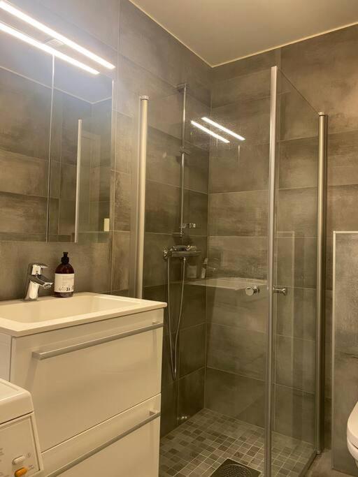 Apartment Studioleilighet I Tromsdalen